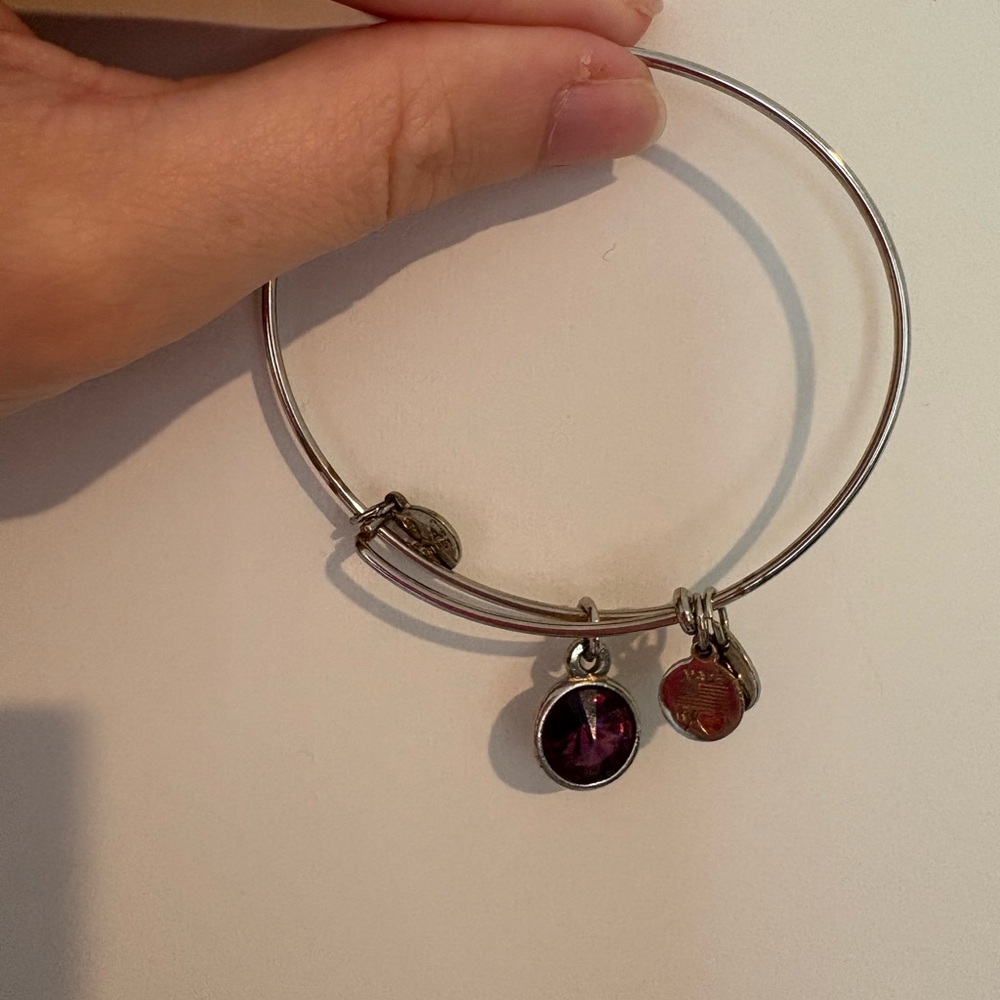 Alex and Ani February Birth Stone Bangle